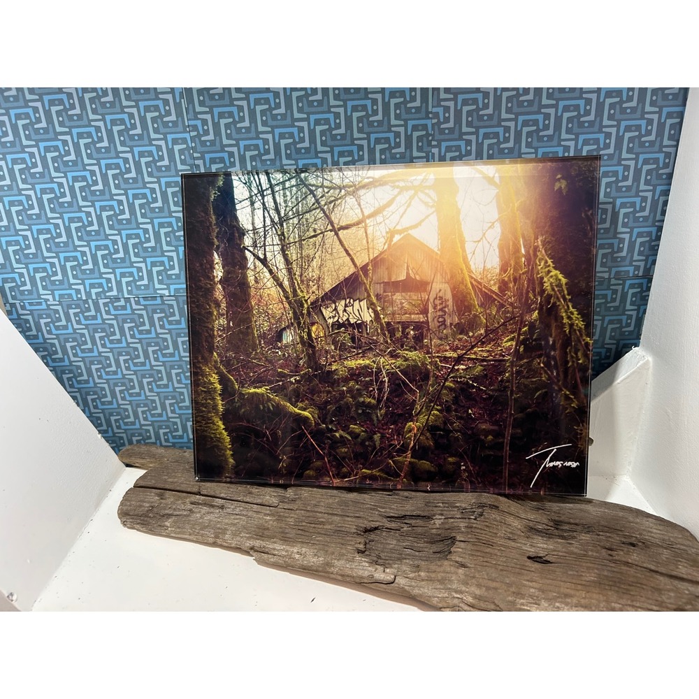Thomas Jordan Abandoned Forest Shack Graffiti Acrylic Photo Print Wall Art 8x10